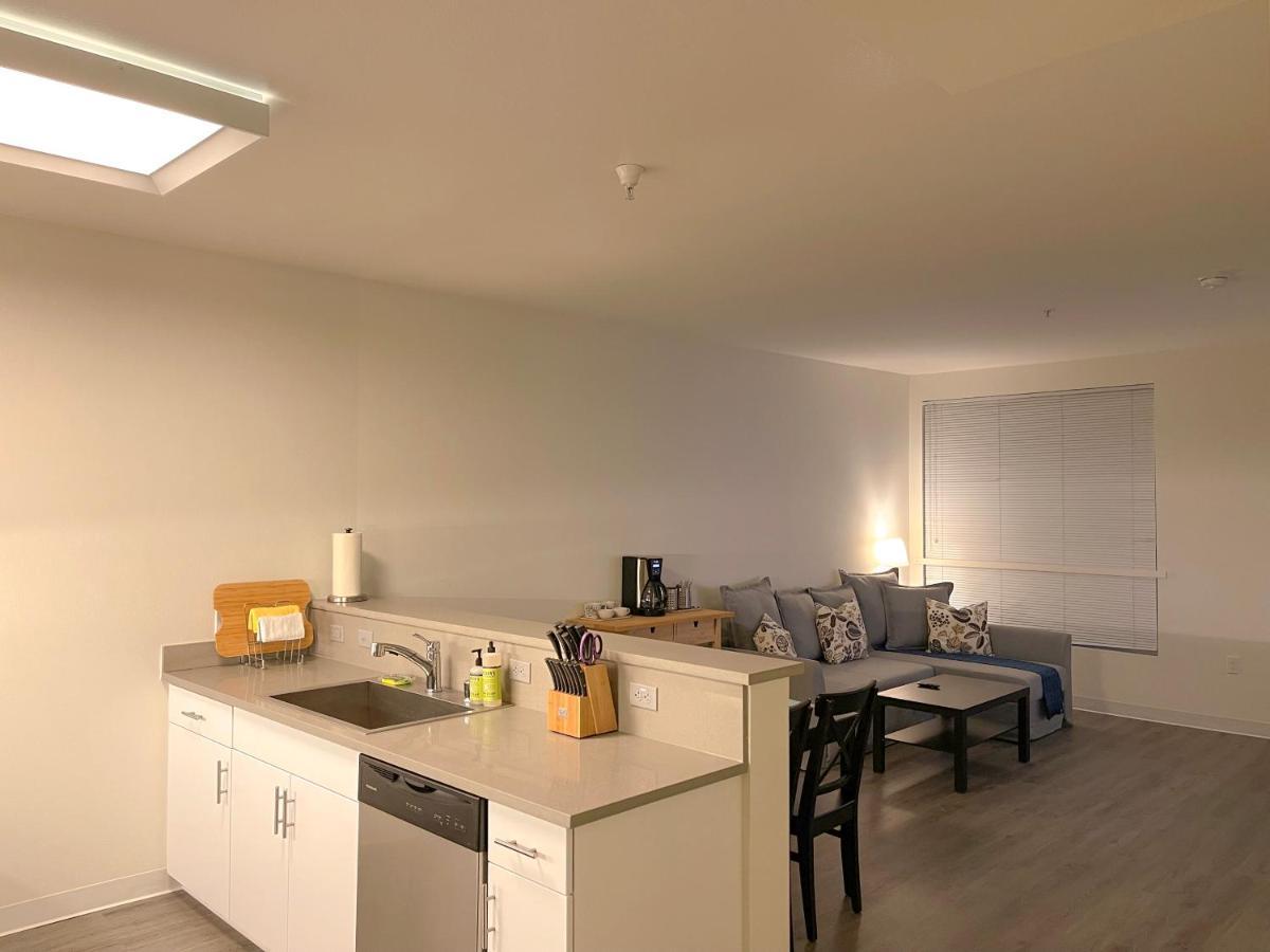Spacious Entire Apt W Parking In Arts District Dtla B5 Apartment *